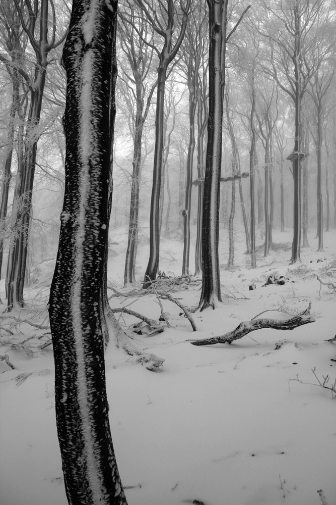 Schnee in Hessen