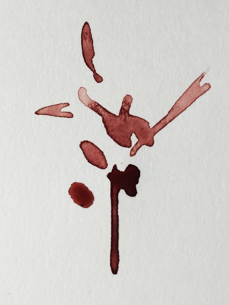 Blume oder Vogel