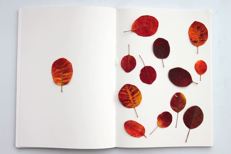 Blatt und Blätter