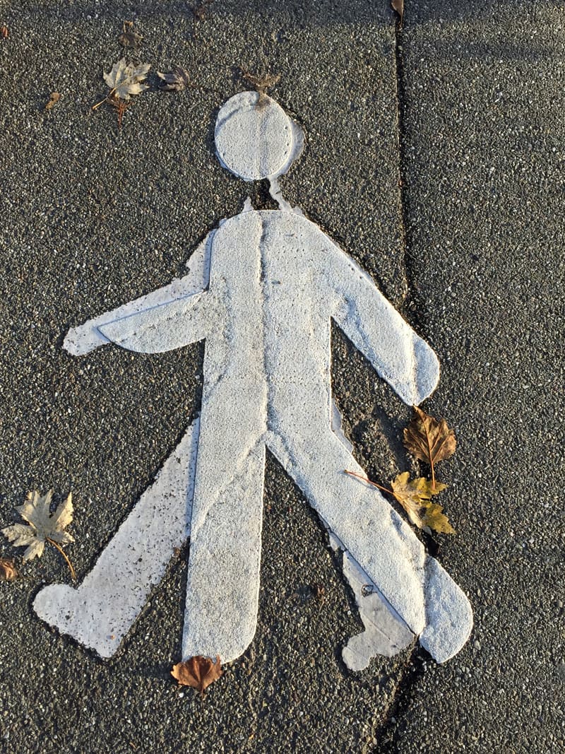 Doppelgänger