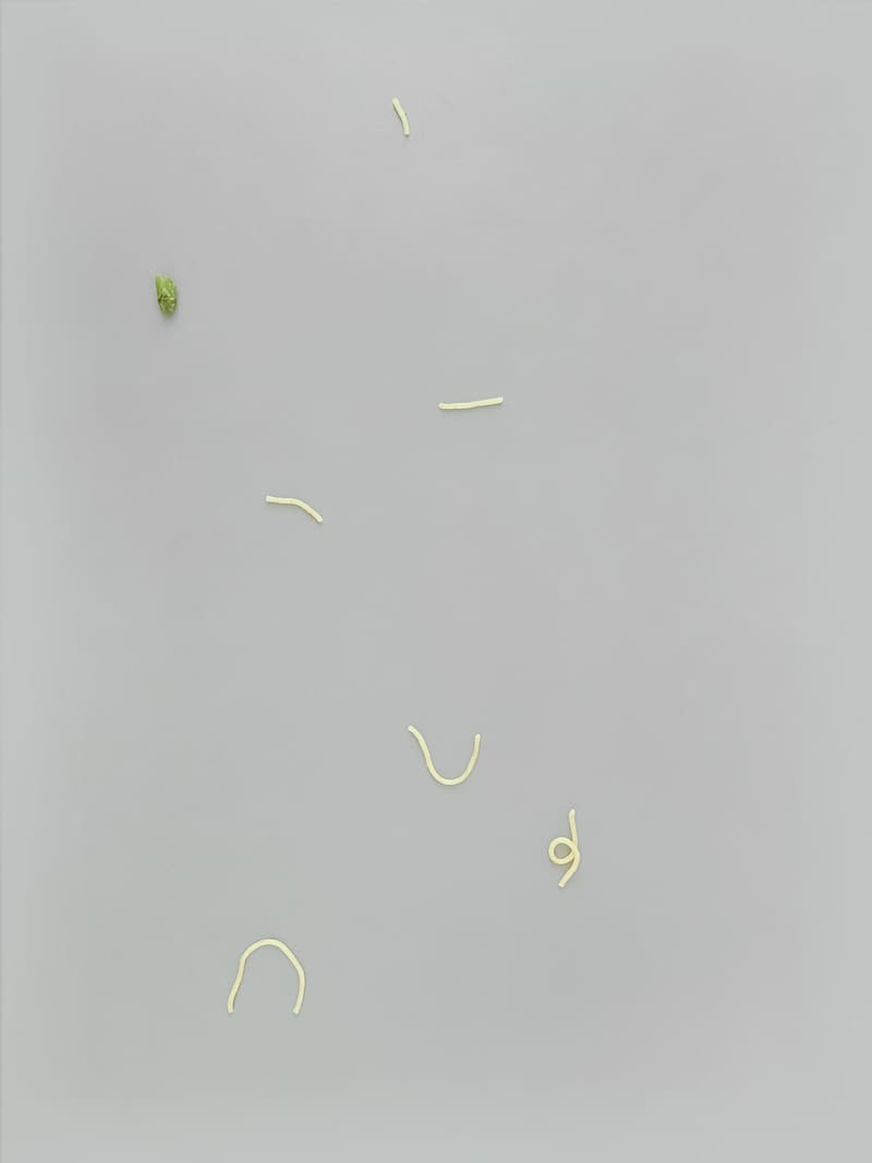 Snacknudeln