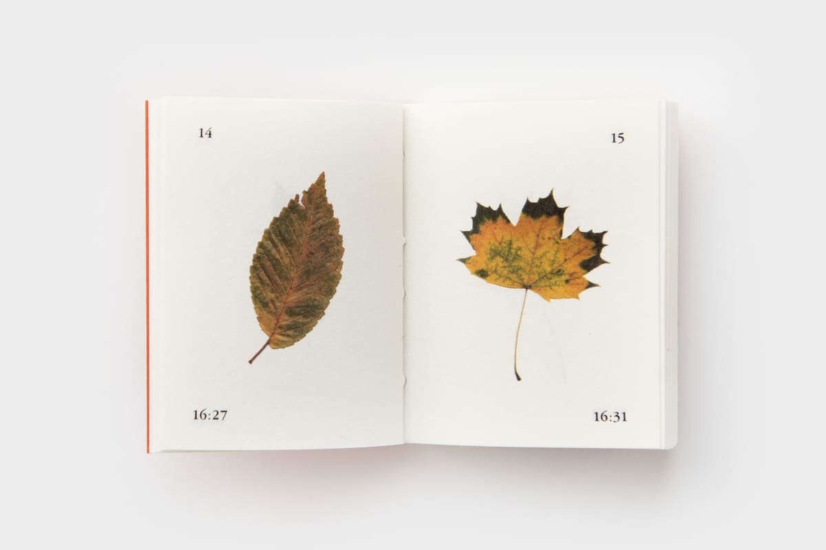 Rues et Feuilles de la Krutenau, Reihe 8, Bild 1