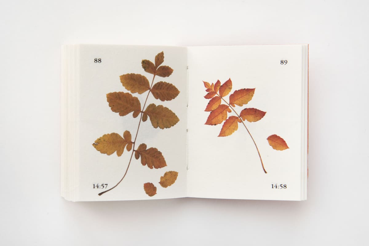 Rues et Feuilles de la Krutenau, Reihe 8, Bild 2