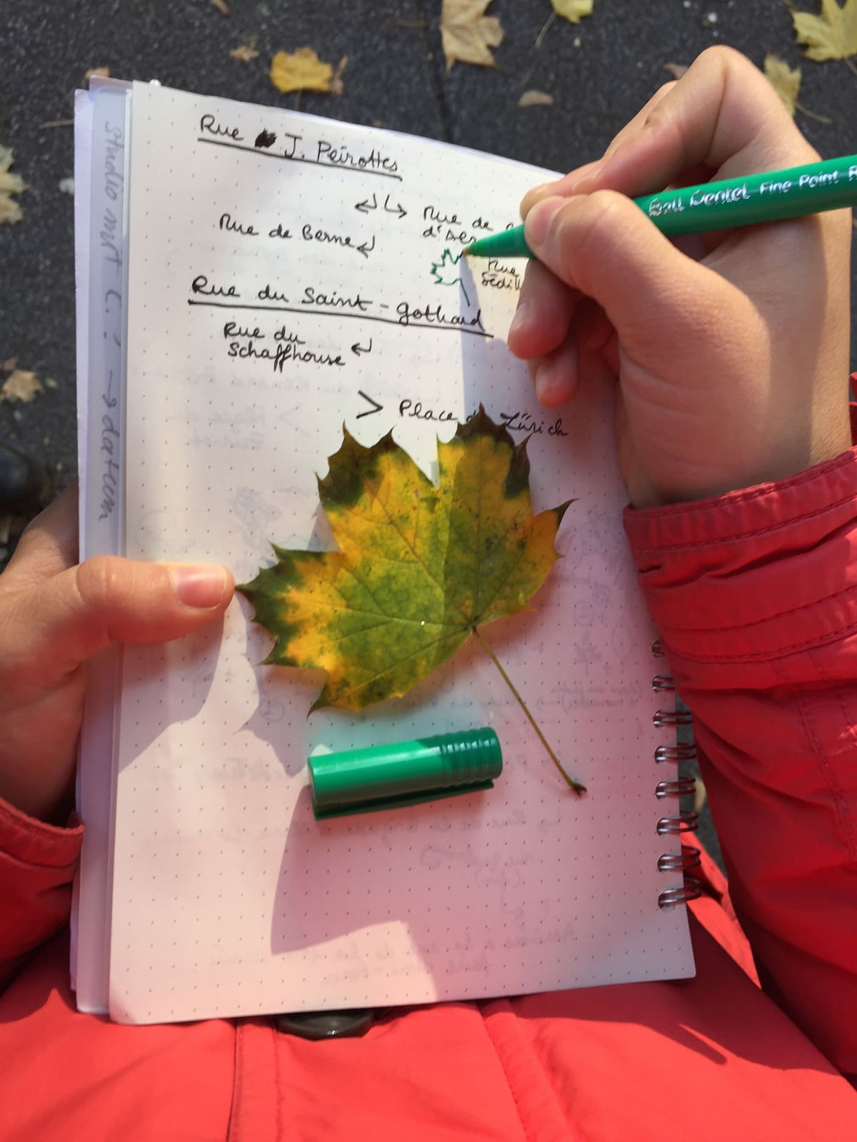 Rues et Feuilles de la Krutenau, Reihe 11, Bild 1