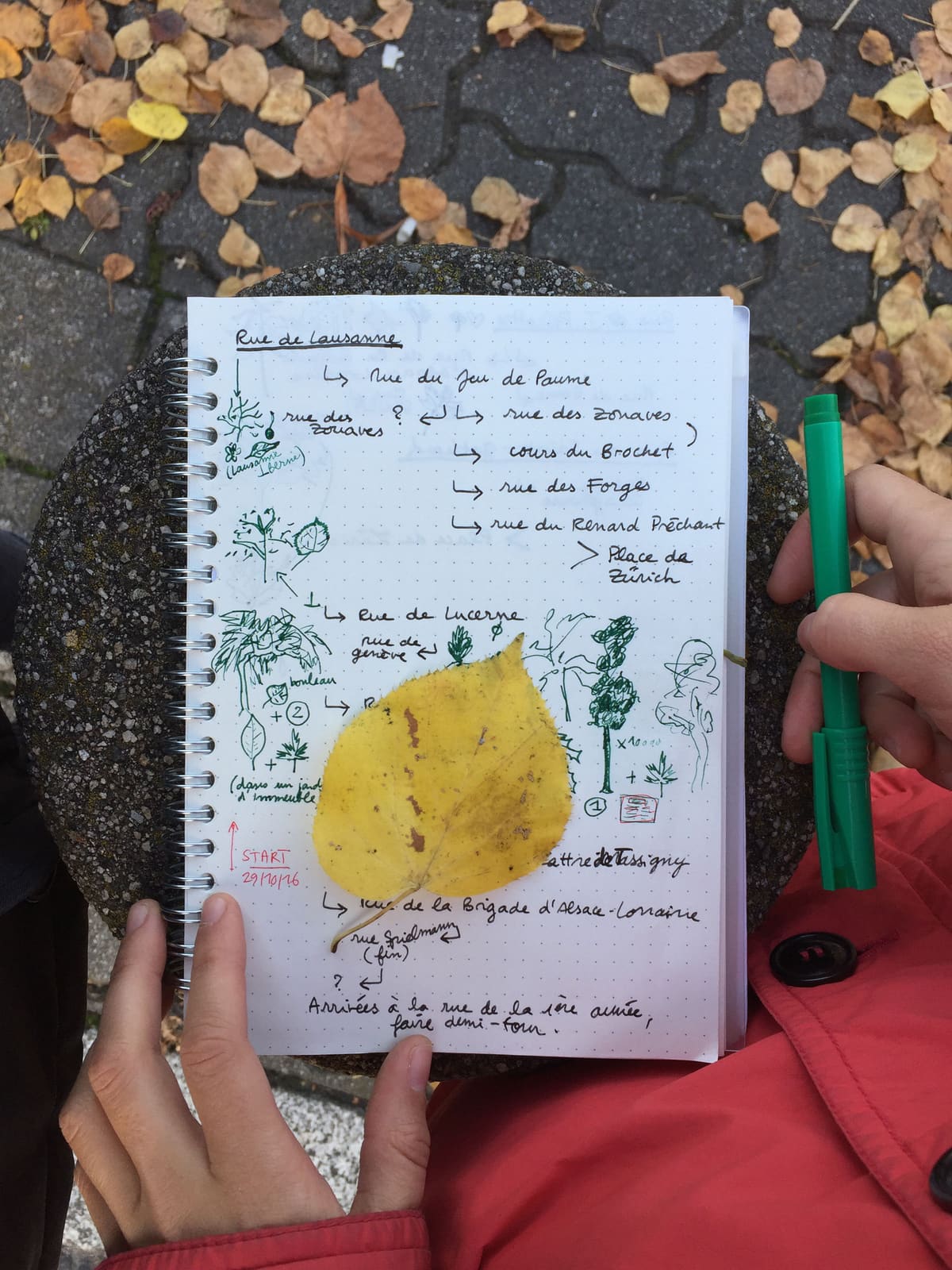 Rues et Feuilles de la Krutenau, Reihe 11, Bild 3