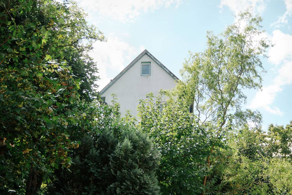 Brombeerschloss Plattform für Literatur und Buchkunst